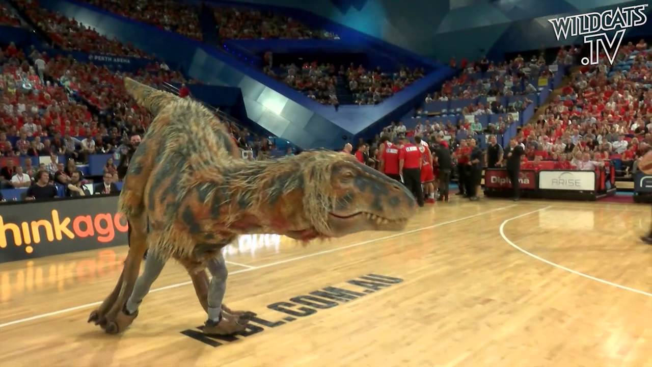 Perth Wildcats - Dinosaur invades Perth Arena