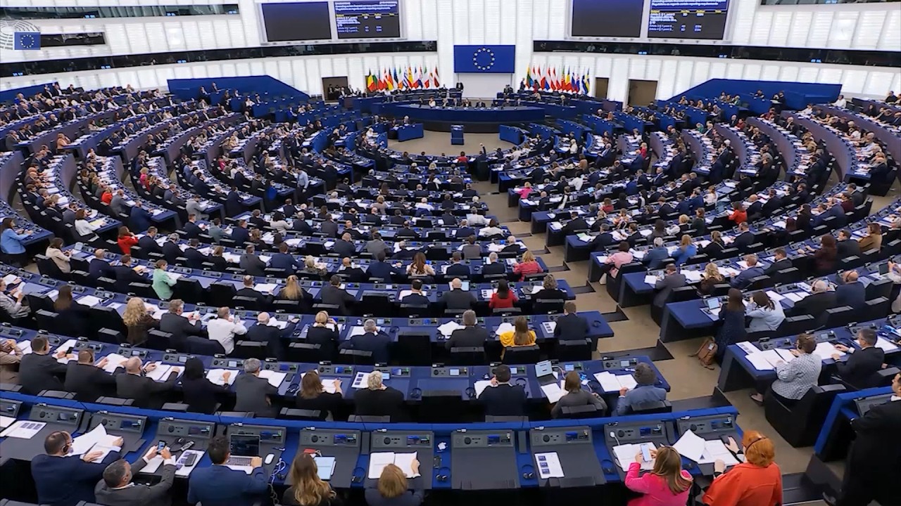 საქართველო ევროპარლამენიტის დღის წესრიგში