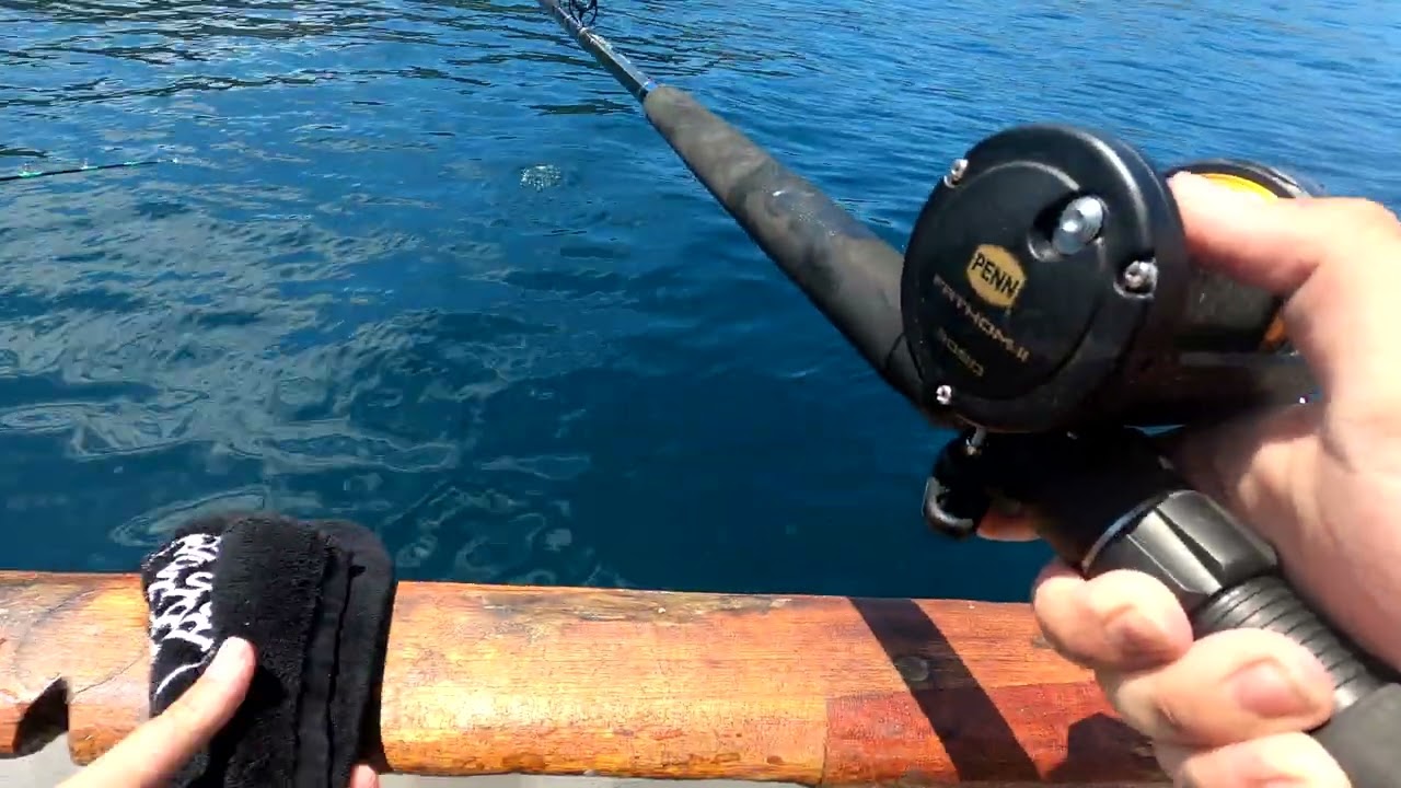 Catalina island charter fishing