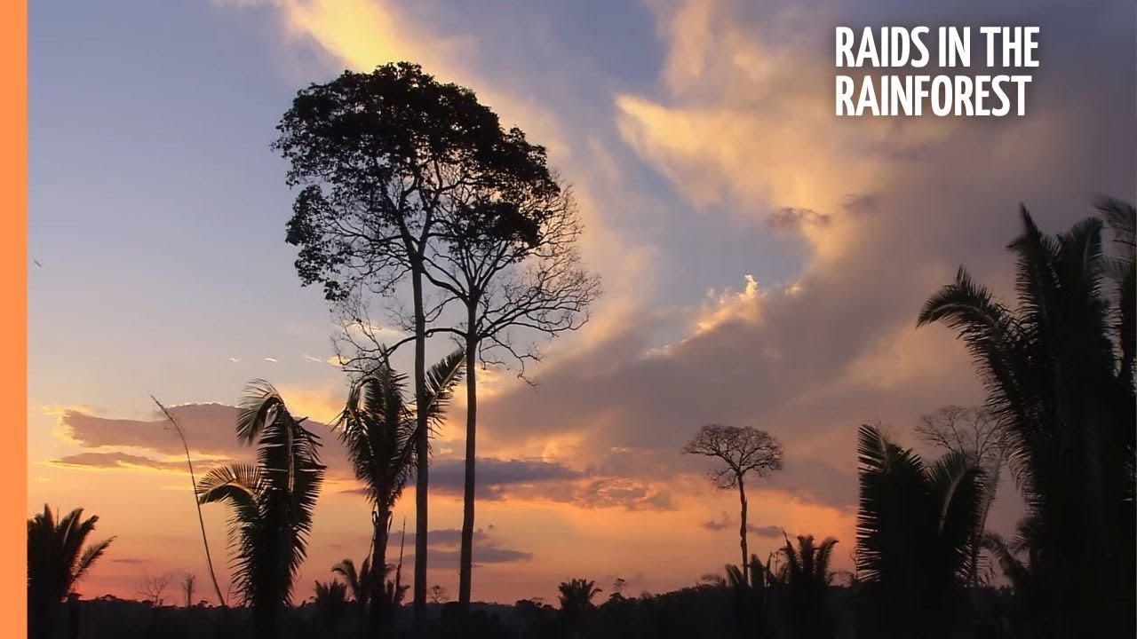 Amazonia Under Siege: Raids in the Rainforest | The Fight for Survival | Full Documentary