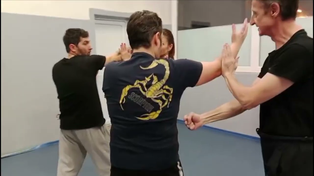 Wing Chun Combat System Serbia dynamic cross arm chi sao