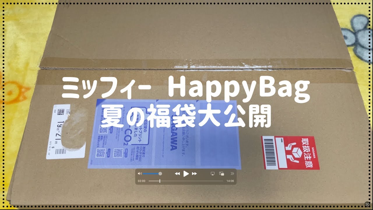 【HOPELY】誕生日のプレゼントがまだ終わってなかった!夏のミッフィーhappybagという福袋が売っていたらしいのでプレゼントしてくれました