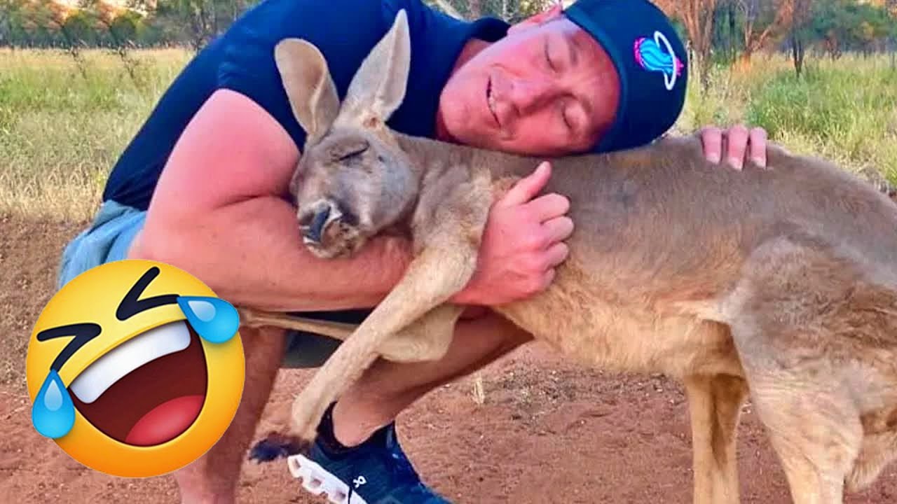 🥖 Funniest Animal Videos 😂 Silly & Dramatic Pets Caught on Camera 🐾 🤕 