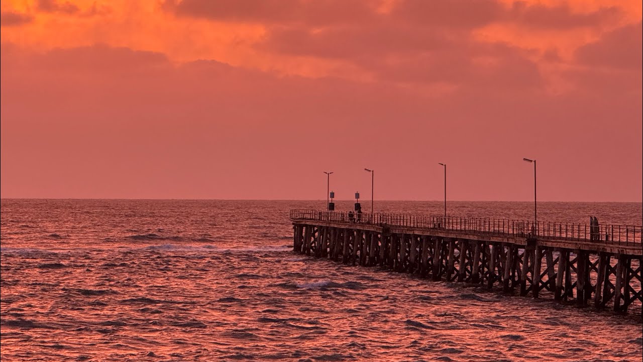 A week in Adelaide 💜