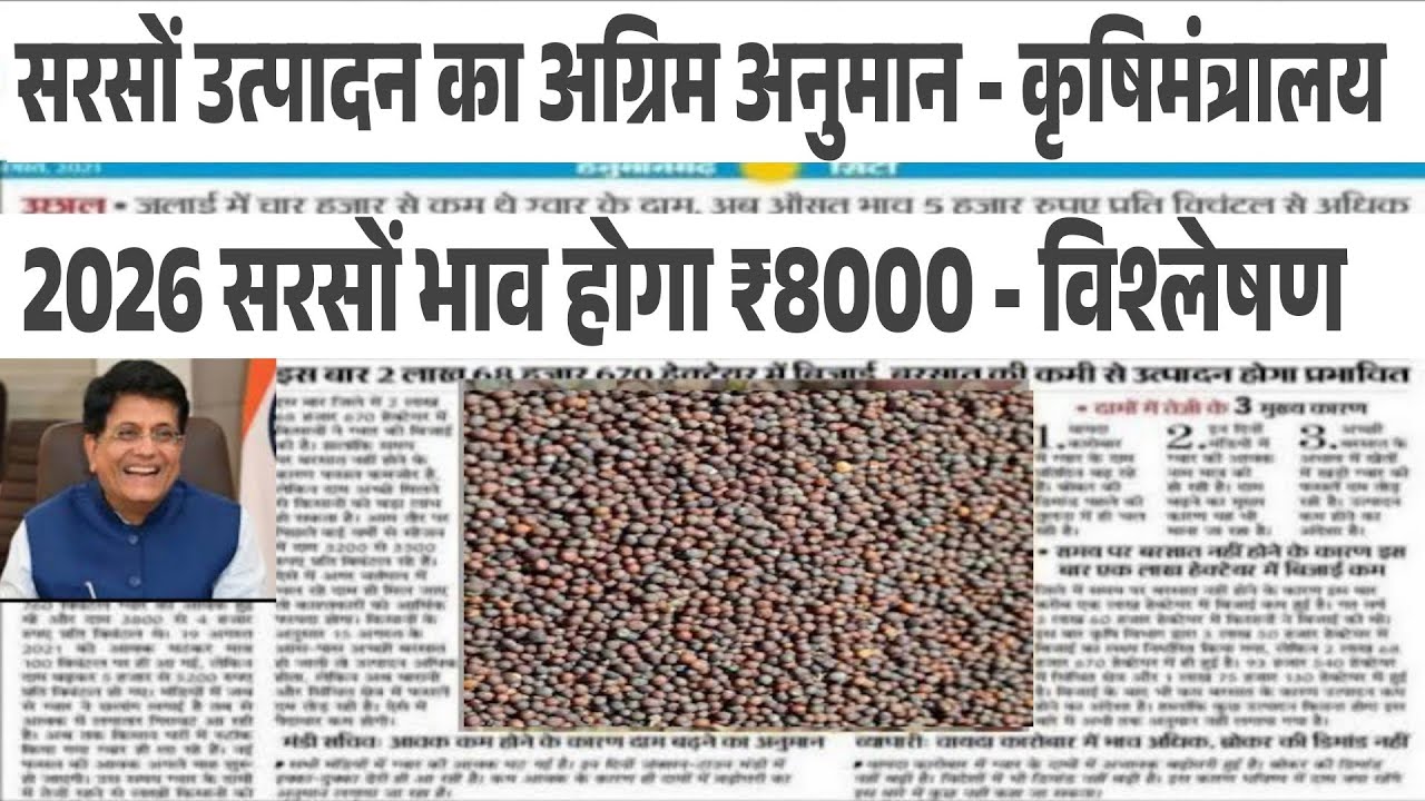 सरसों बेच रहे हो तो रुक जाओ भाव होगा रु9000 /सरसों तेजी मंदी रिपोर्ट sarson price