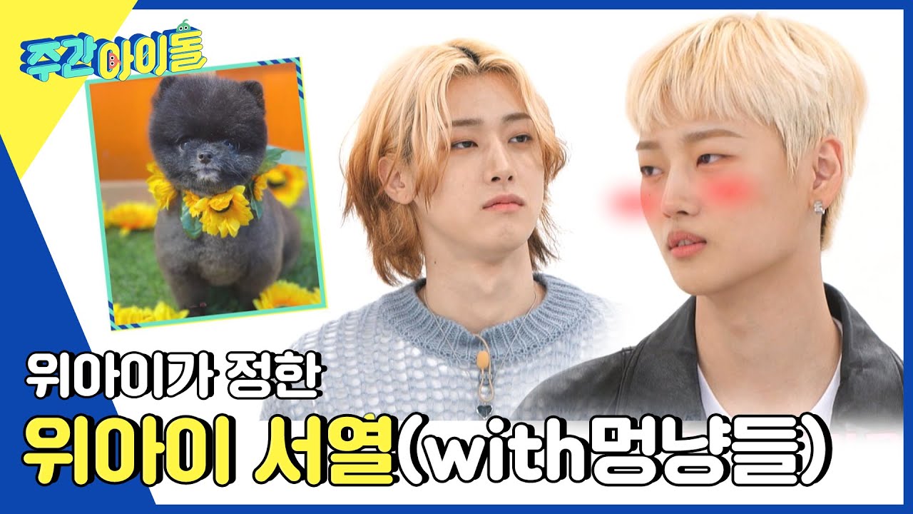 (ENG) [Weekly Idol] 위아이가 정한 그룹 내 서열 ※쿠키랑 달이 포함※ l EP.553