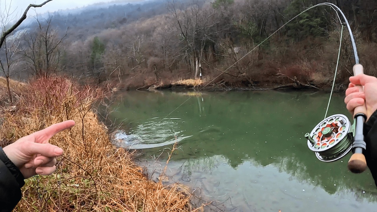 I Found All The Fish Stacked In One Spot!!!