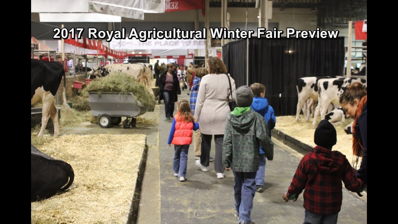 2017 Royal Agricultural Winter Fair Preview