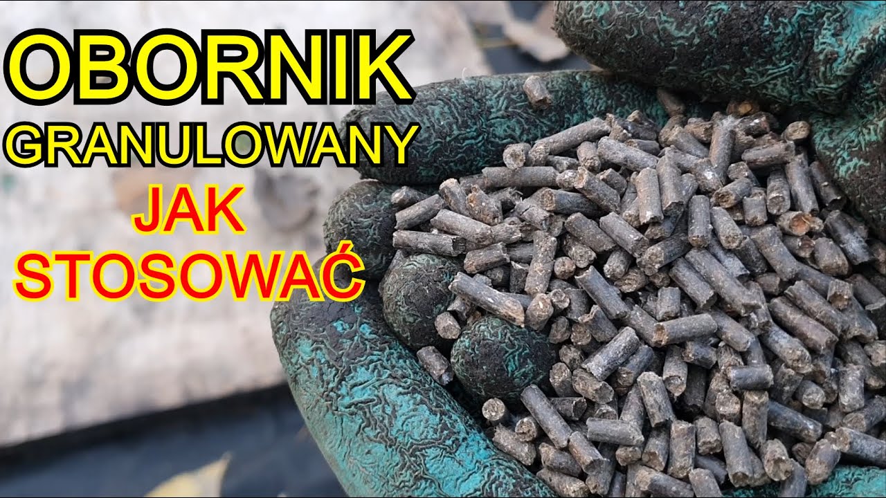 Obornik GRANULOWANY w Praktyce - Jak stosować i kiedy