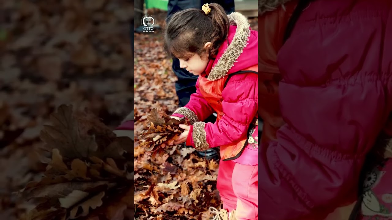 capcut.-video-editor   #videohaber #capcut #gezilecekyerler #fotograf&iacute;a #film #travel #g&uuml;ndem #kamp