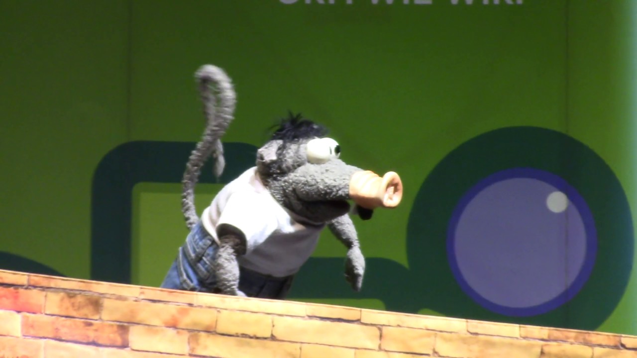 Robert Steiner & Rolf Rüdiger