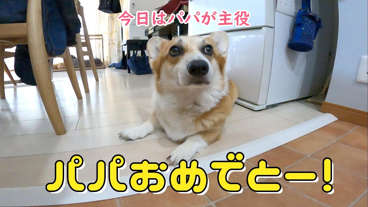 パパのお誕生日にアレを渡しました！