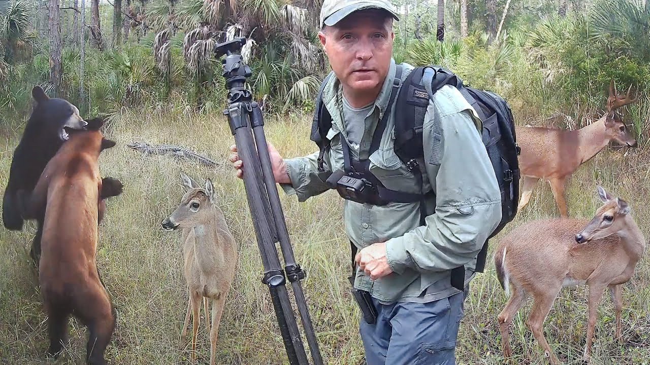 Tim Harrell Swamp Trail Camera Pickup