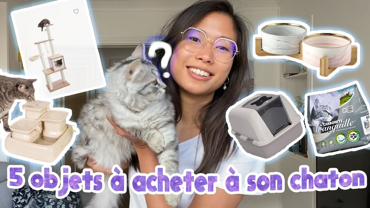 5 OBJETS A ACHETER A SON CHATON AVANT SON ARRIVEE