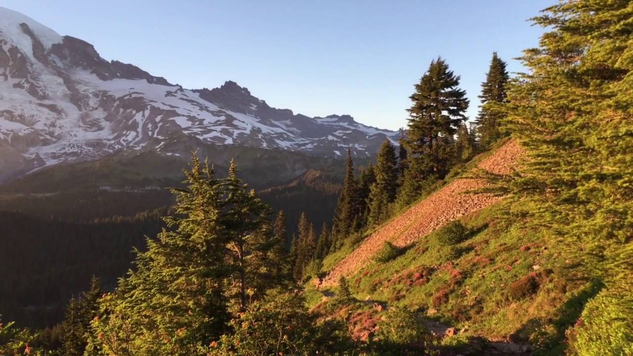 Pinnacle Peak / Pinnacle Saddle   on 08052016