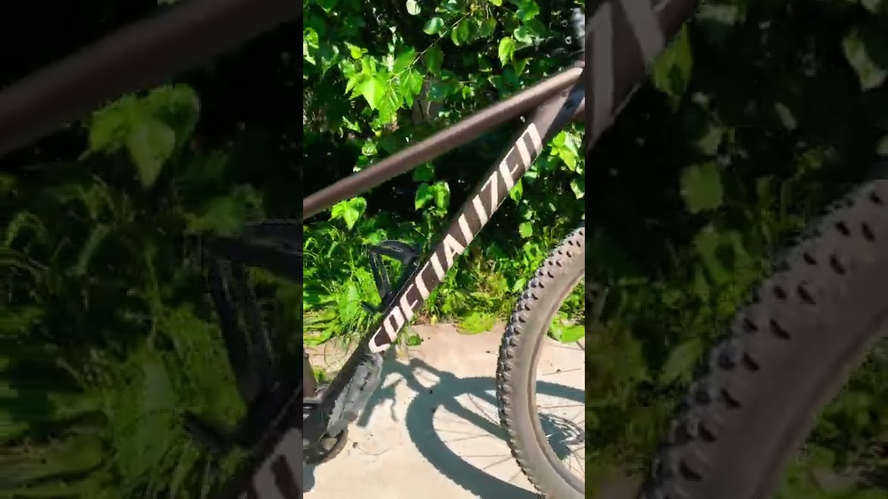 || Specialized || Rockhopper elite 