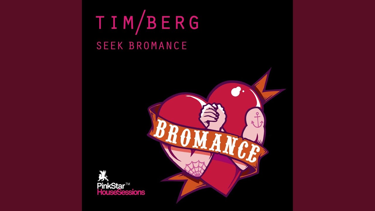 Seek Bromance (Avicii Vocal Extended)