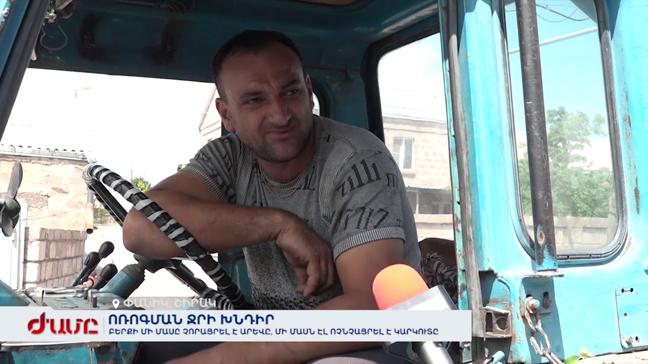 Փանիկի բերքը վտանգված է