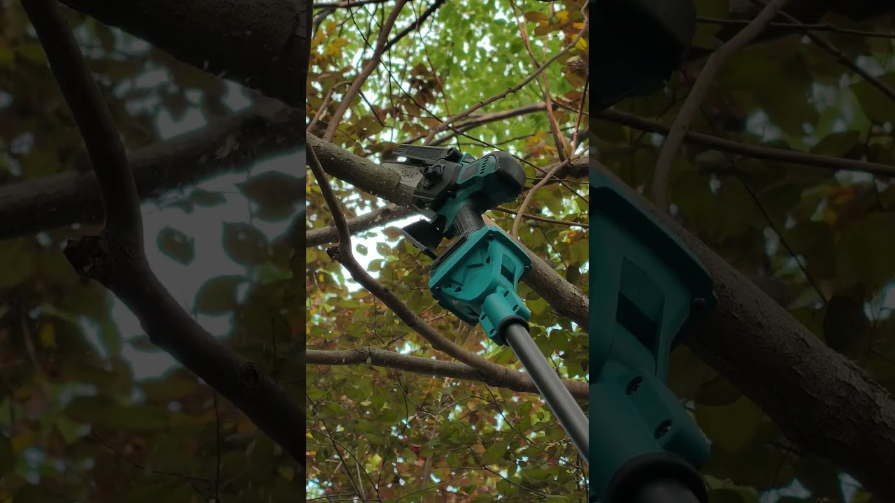 8 Inch Pole Saw and Mini Chainsaw Cordless with 2  Batteries, Electric Chainsaw with Extension Pole