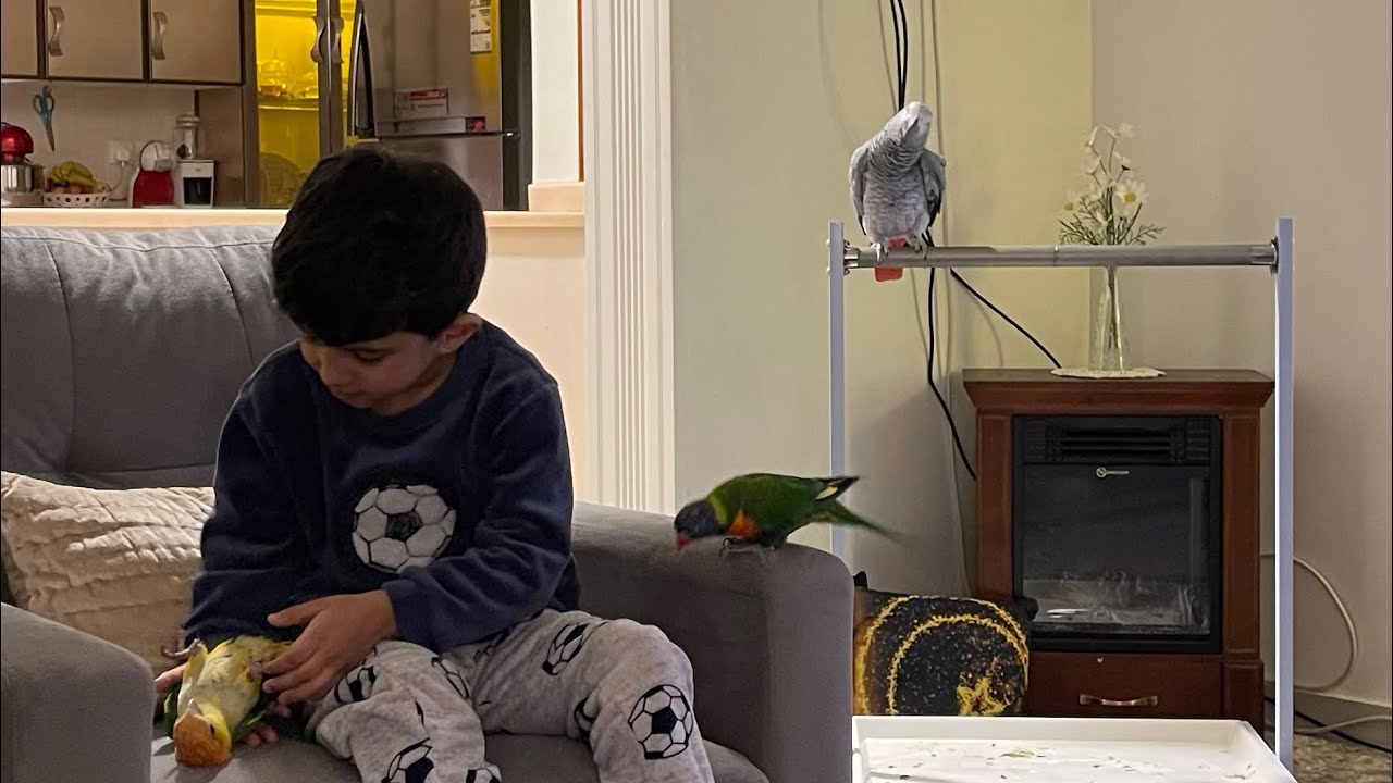 سعيد بن تركي - كوكو الخبل ويكيند انا بروح 😂