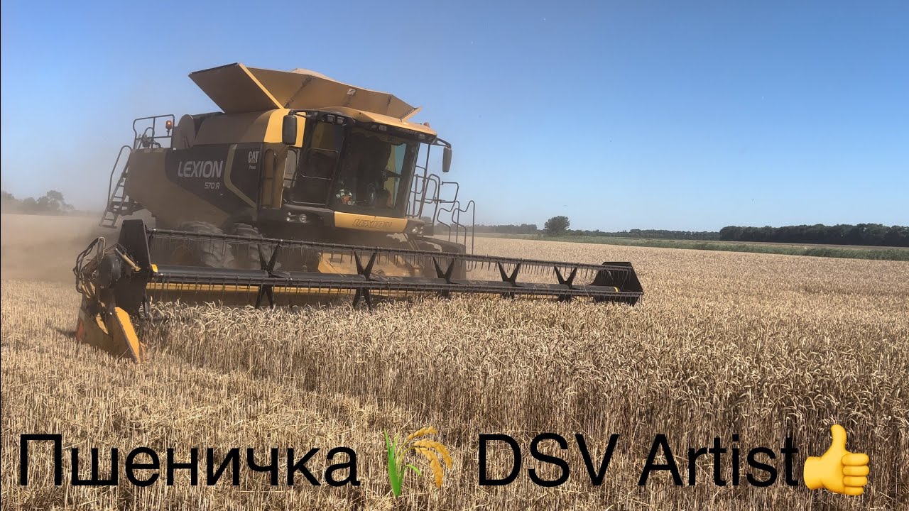 Сипе що дурна😱 Нарешті‼️Жнива пшенички 🌾 DSV Artist👍 Врожаєм більш ніж задоволені‼️