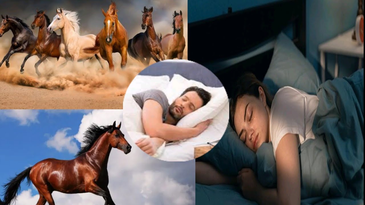 Firi guent War fasse partie n1...kepp kou guent War fasse diko dawa..............