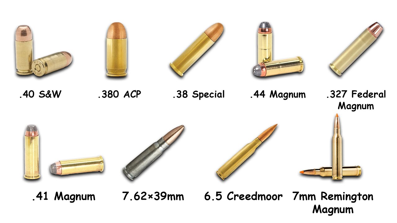 Every Ammo Type Explained in 38 Minutes!(LIVE #1)