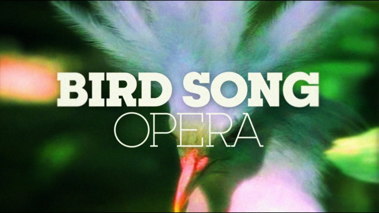 BIRD SONG OPERA