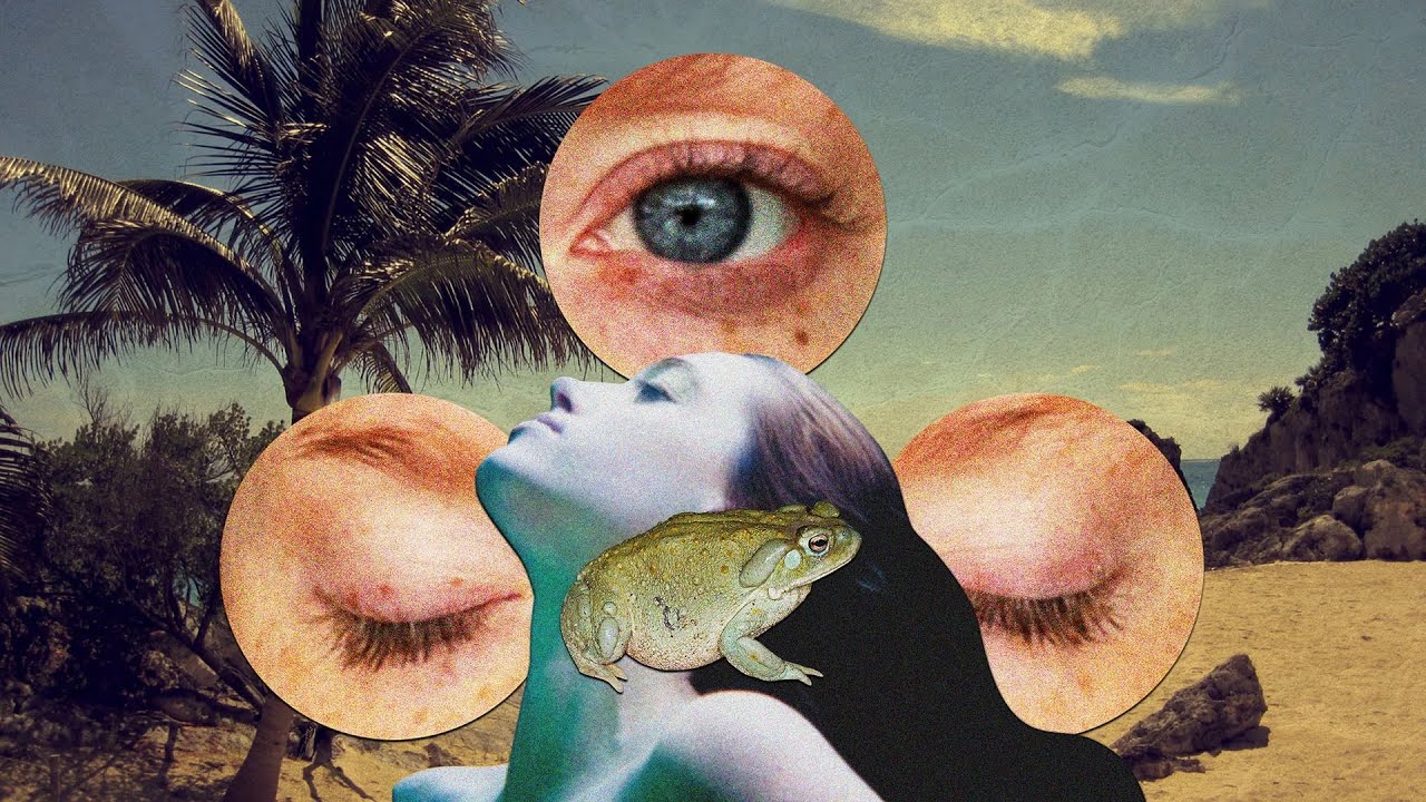 Blue Bass Lines - Fabula