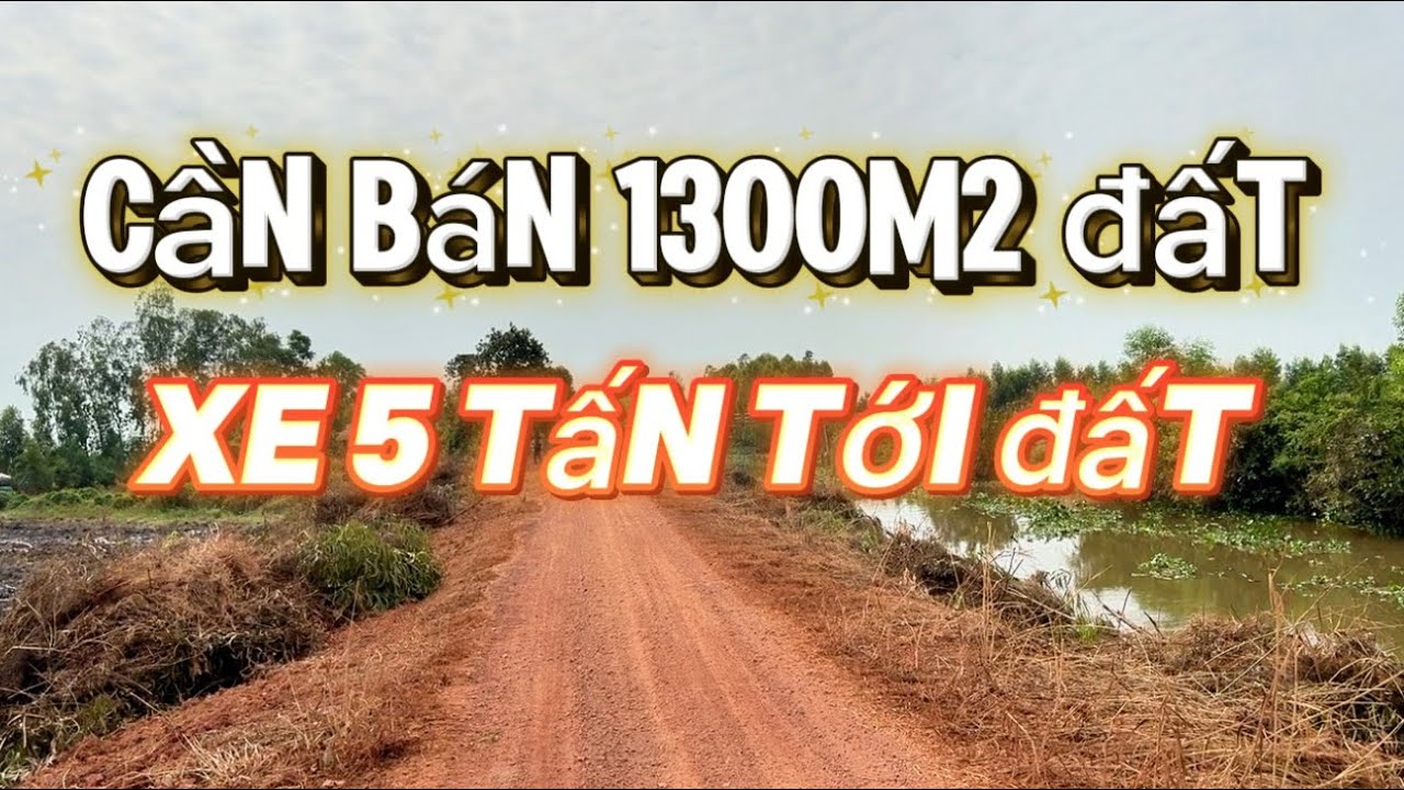 Cần bán DT1300m2 đất giá 280 triệu/1000m2 #nhadatuttuan