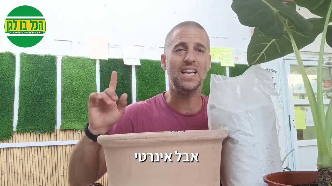 טיפ ליצירת תערובת שתילה מצויינת לעציצים בתוך הבית
