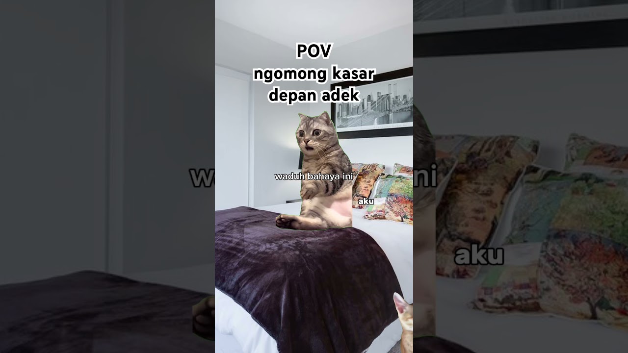 POV: ngomong kasar depan adek 