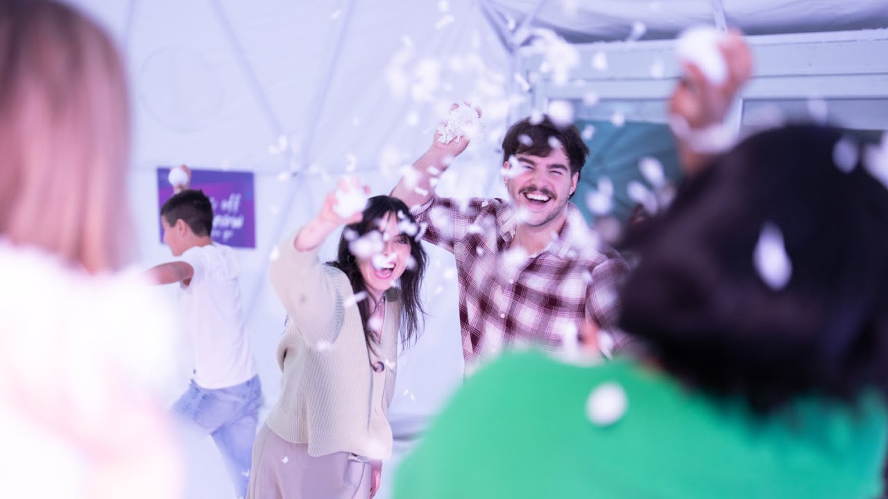 Dazzling Nights Highlights