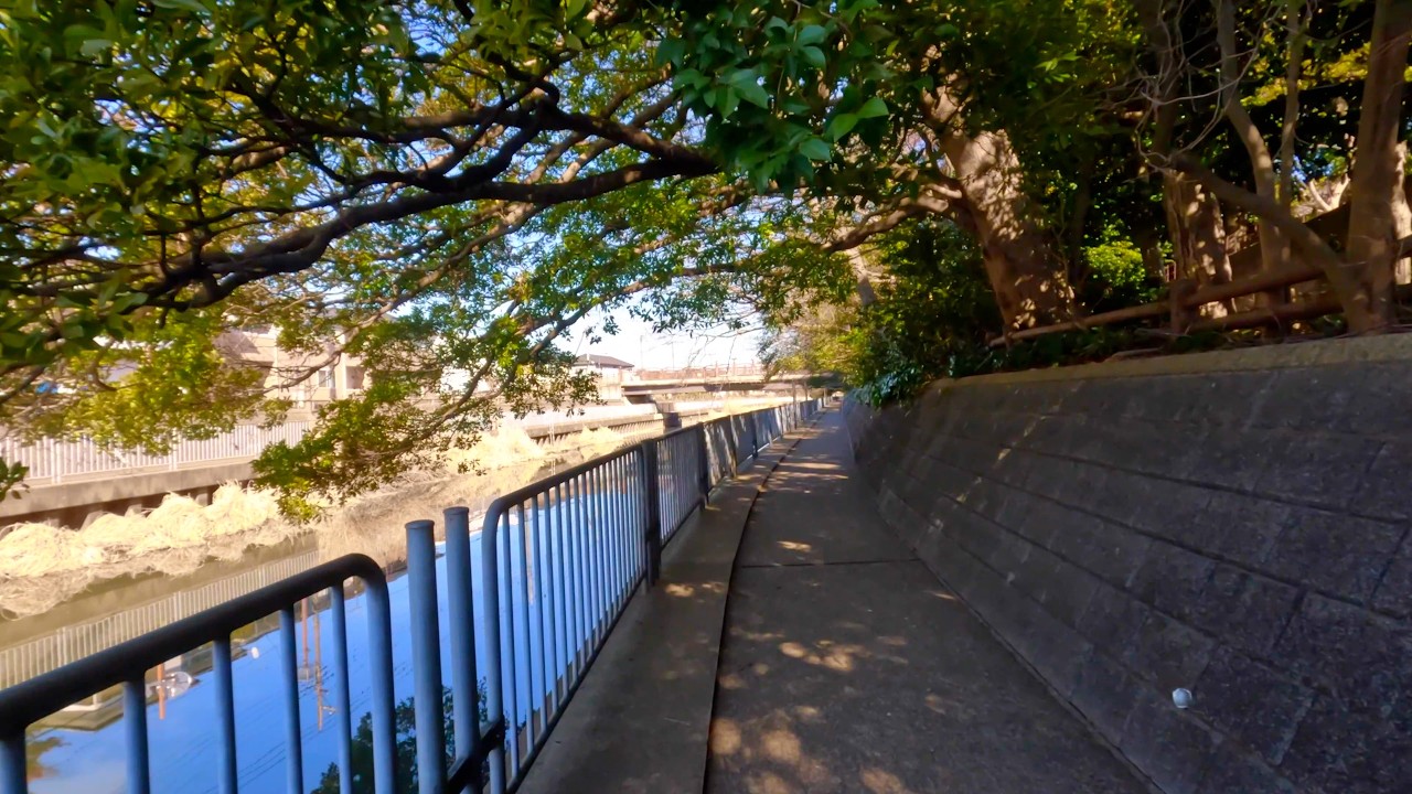 A Calm Walk Along Hangawa River, Japan | Quiet Riverside POV
