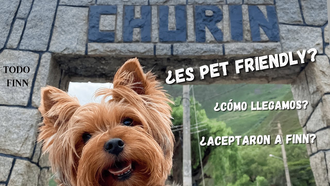 CHURÍN 2022: ¿Se puede ir con mascotas? Te lo contamos todo!