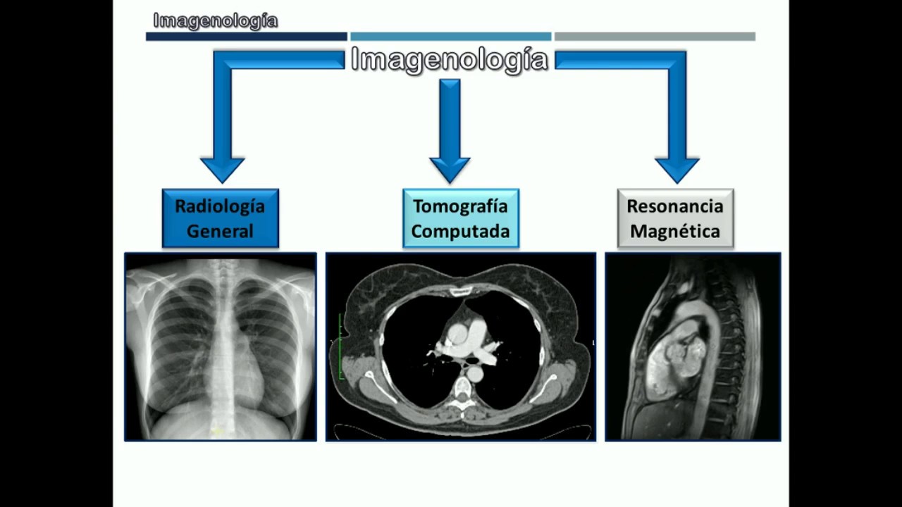 Generalidades de Imagenología para Anatomía