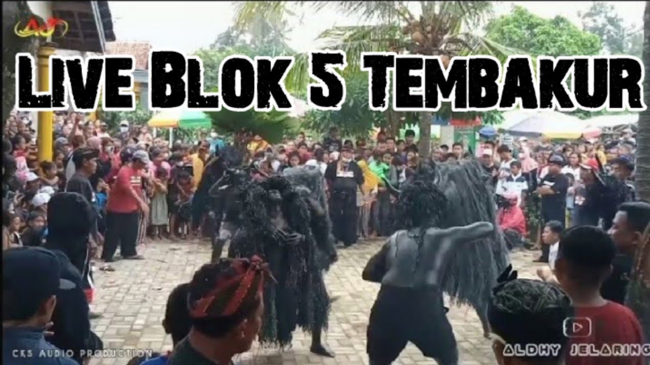 KEBO GOYANG (Official Kebo) AGUNG WILIS LIVE Blok 5 TEMBAKUR