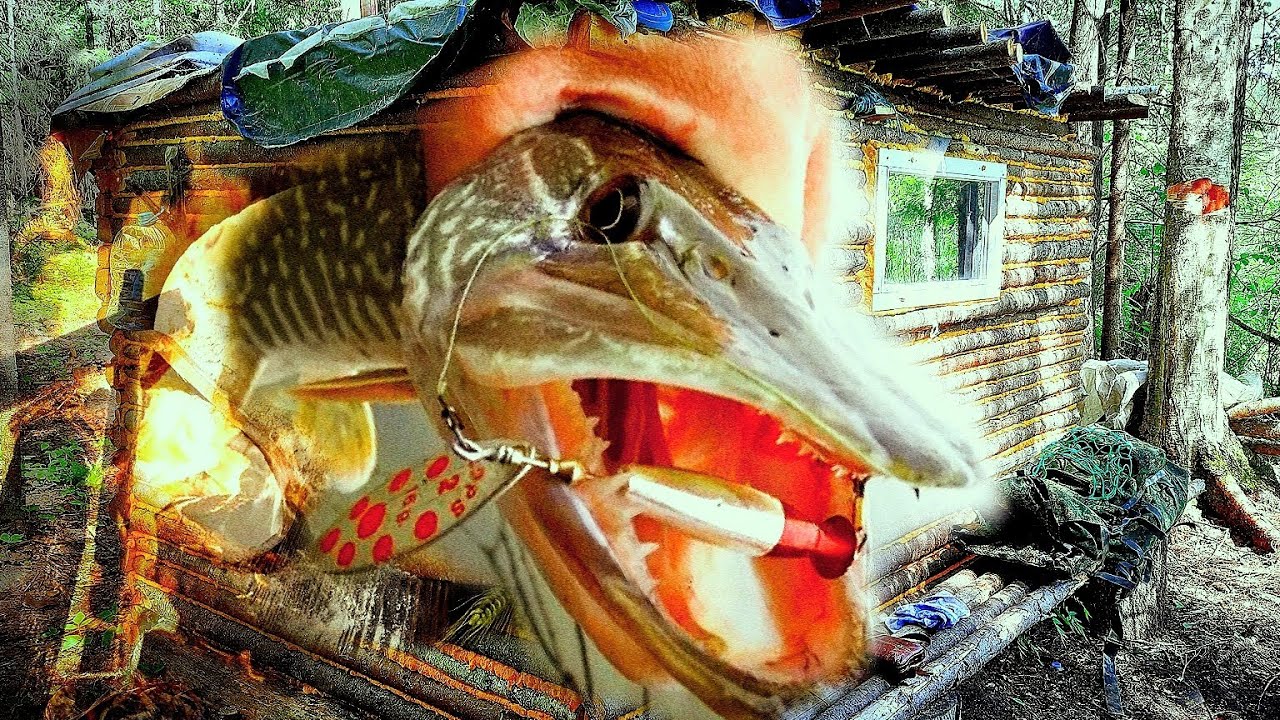 ПОХОД В ЛЕС С НОЧЁВКОЙ ЧАСТЬ 2 (выпекаю хлеб в лесу)