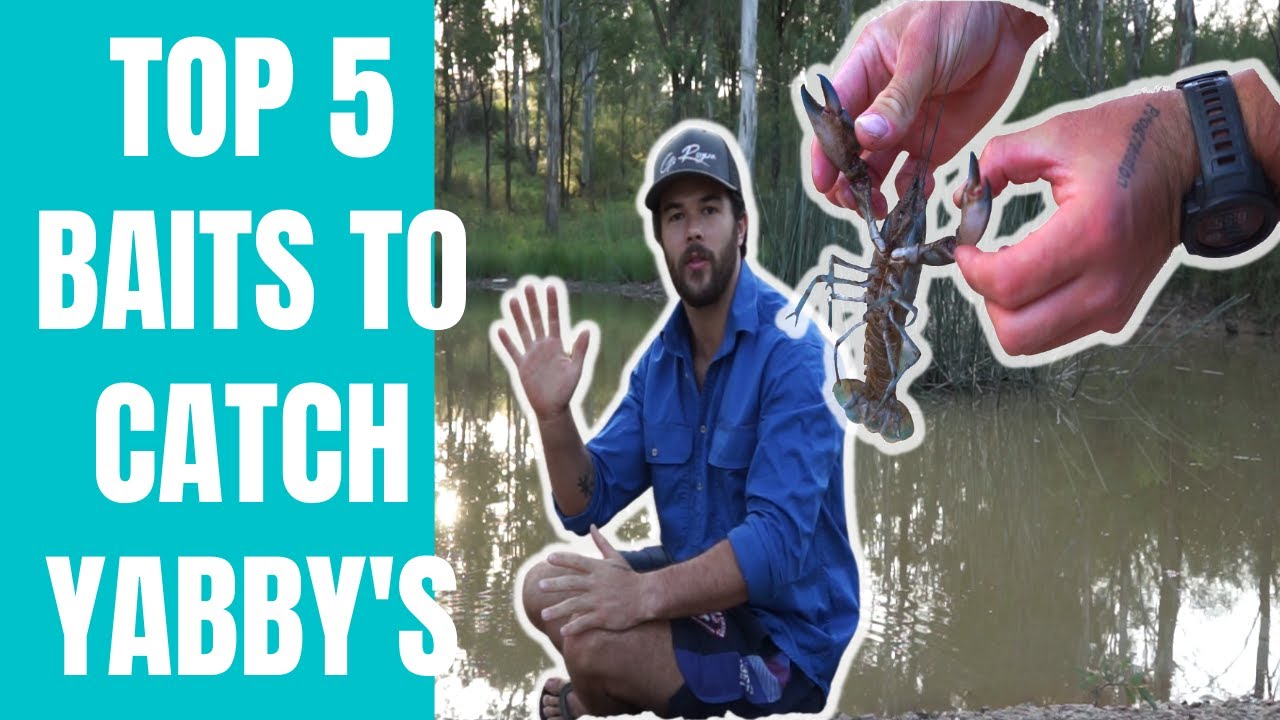 TOP 5 BAITS TO CATCH YABBY'S