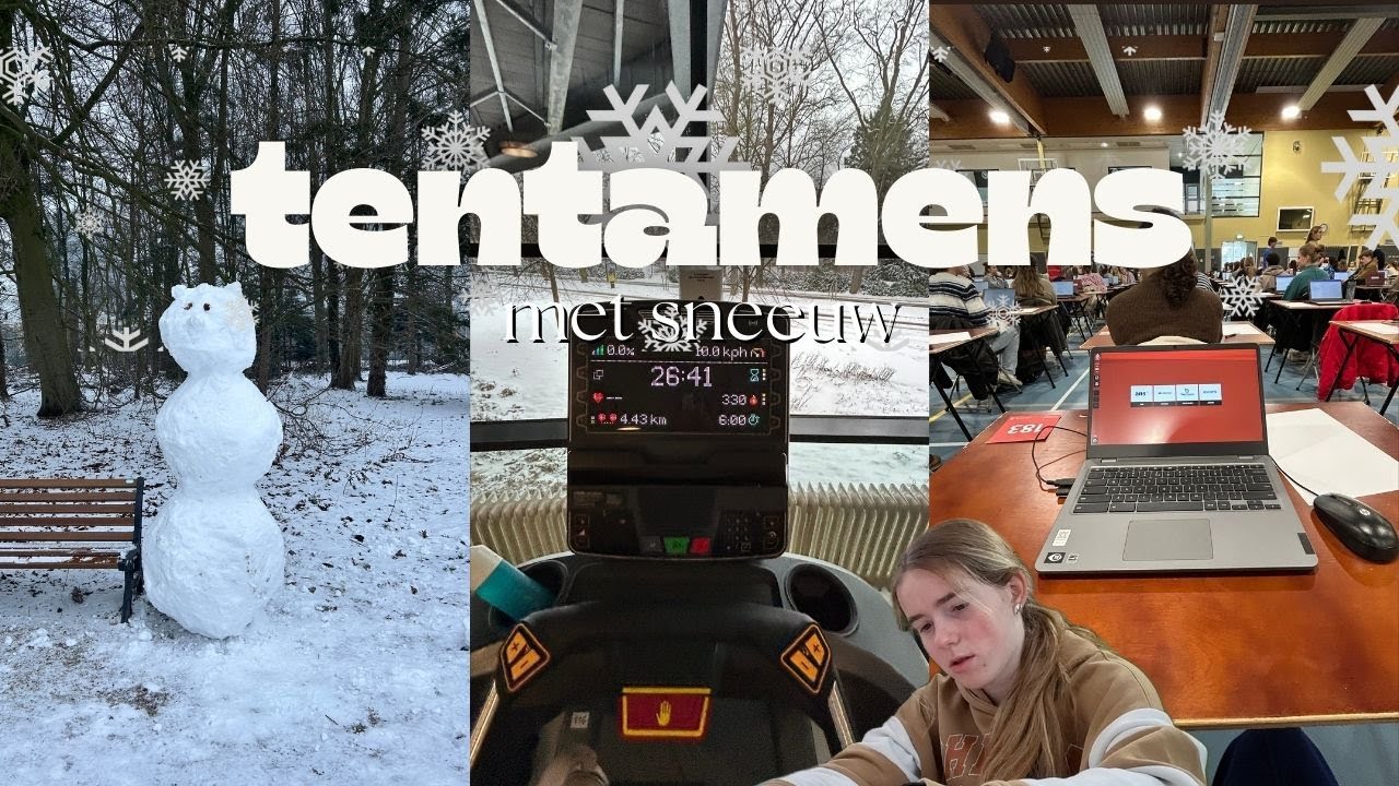 TENTAMENS 🎧❄️ | studying with the snow