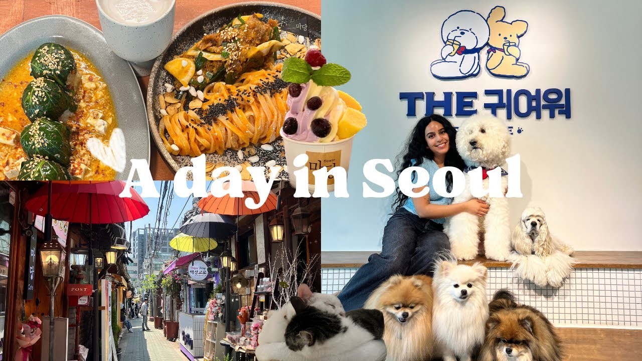 Solo in Seoul 🤍 a lot of shopping and good food :)