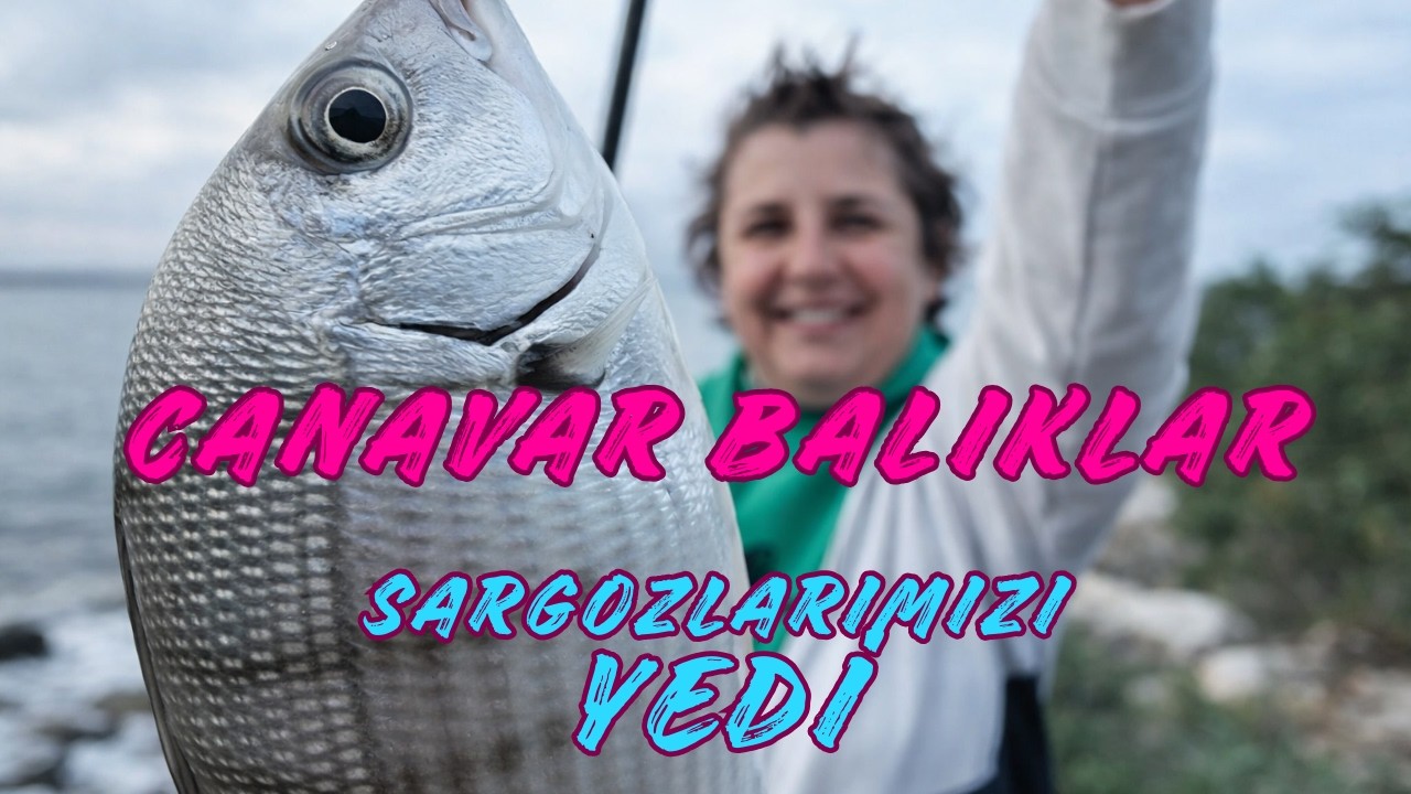 Denizde Canavar Var, Oltalarımızı Parçaladı - Bol Balık #fyp #reels #shorts #camping #caravan