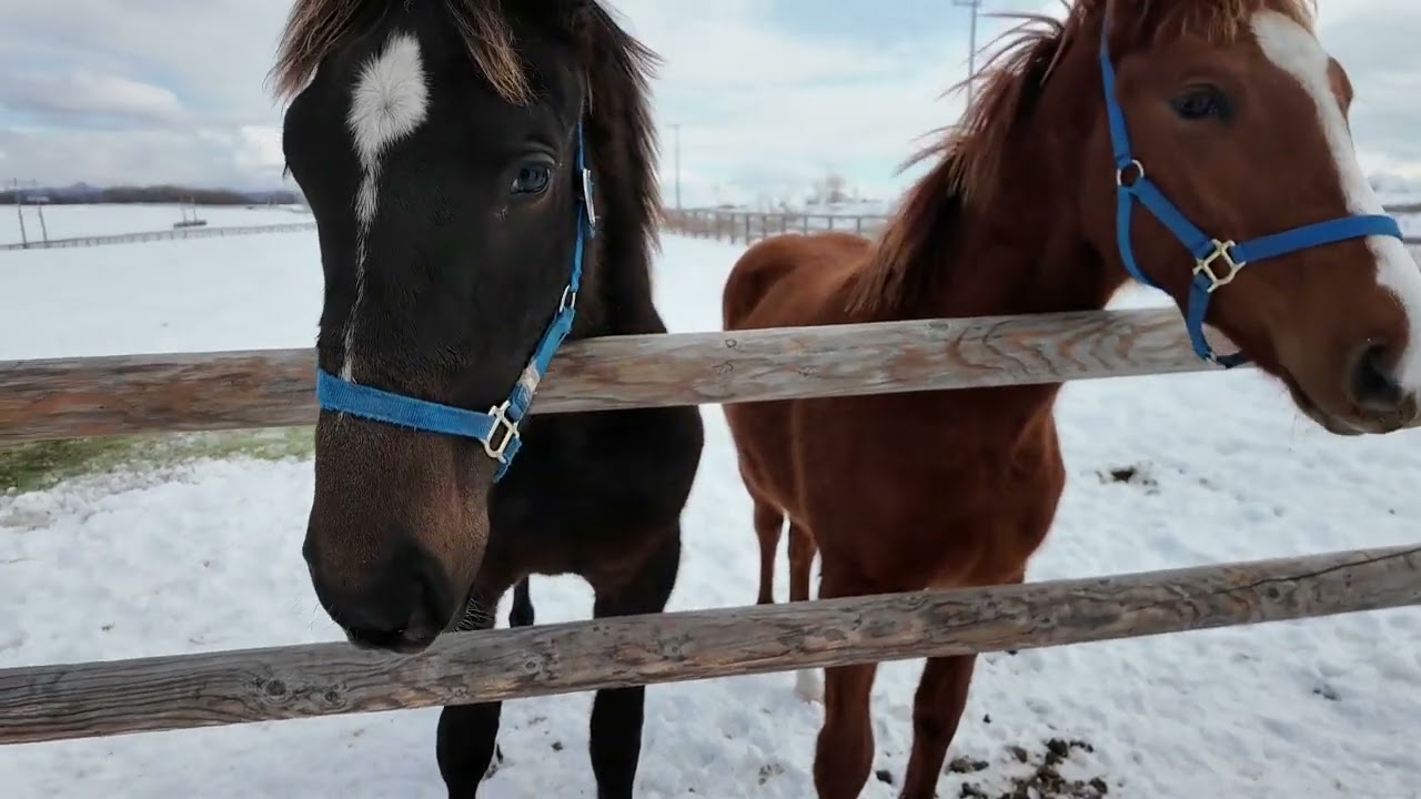 スパ治郎はお父さん似 #671