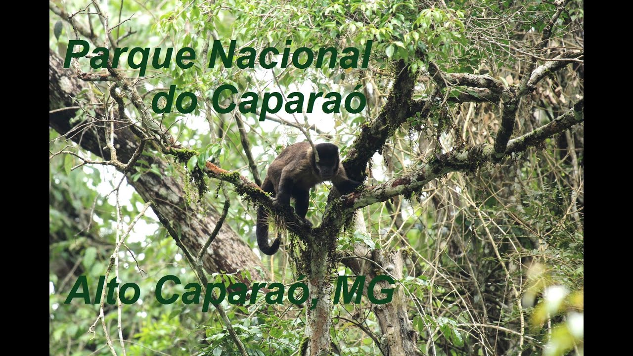 Parque Nacional do Caparaó - Vale Verde, pousadas, restaurantes, cafeterias