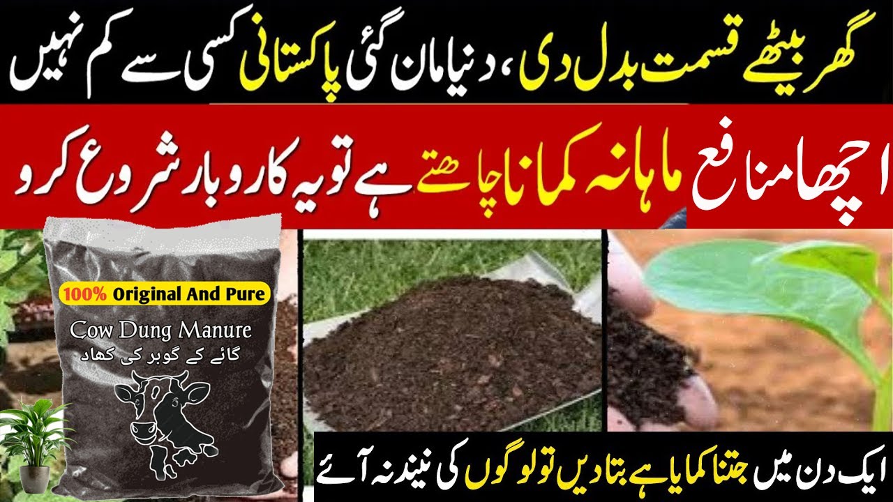 Nokri Choro! Gobar Becho | 80% Profit Margin 🔥 | Low investment business idea