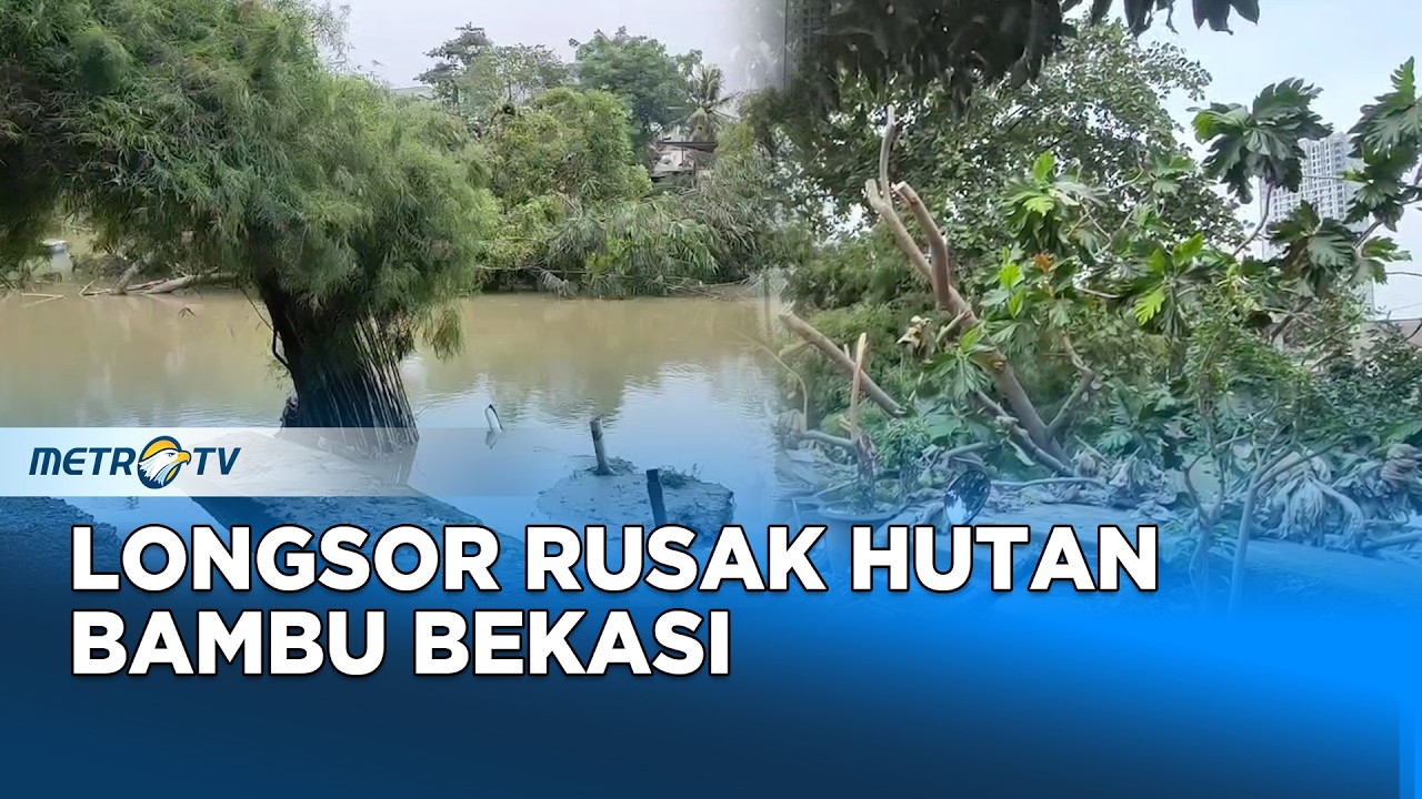 Bencana Longsor Rusak Kawasan Wisata Hutan Bambu Bekasi Timur