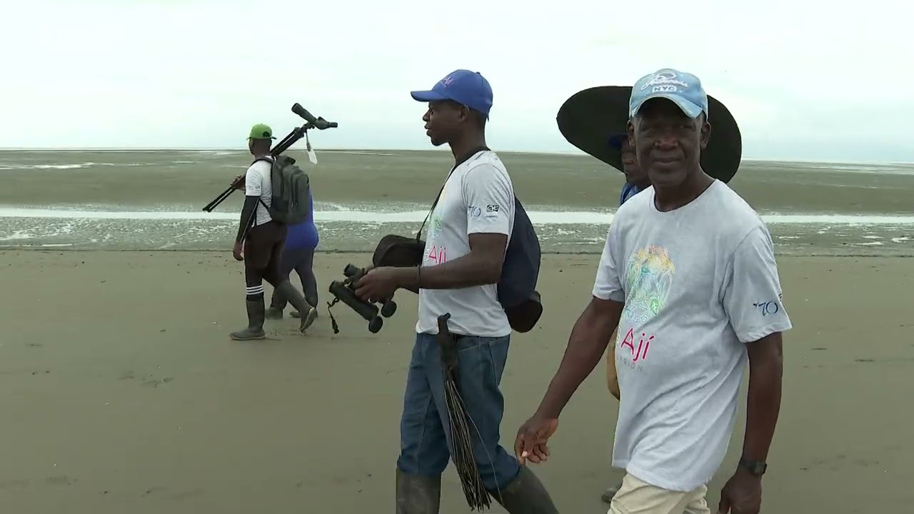 Isla Ají monitoreo y control - Cuentos Verdes 9 de diciembre 2025