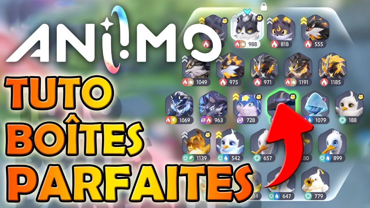 🔥 ANIIMO | LE GUIDE ULTIME POUR ORGANISER SES BO&Icirc;TES ! TRI, FILTRES, VERROUILLAGE & COLLECTION !