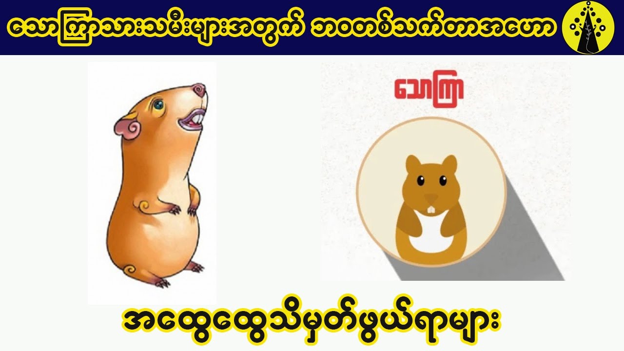 သောကြာသားသမီးများရဲ့ ဘ၀တစ်သက်တာအဟောနဲ့ အထွေထွေသိမှတ်ဖွယ်များ