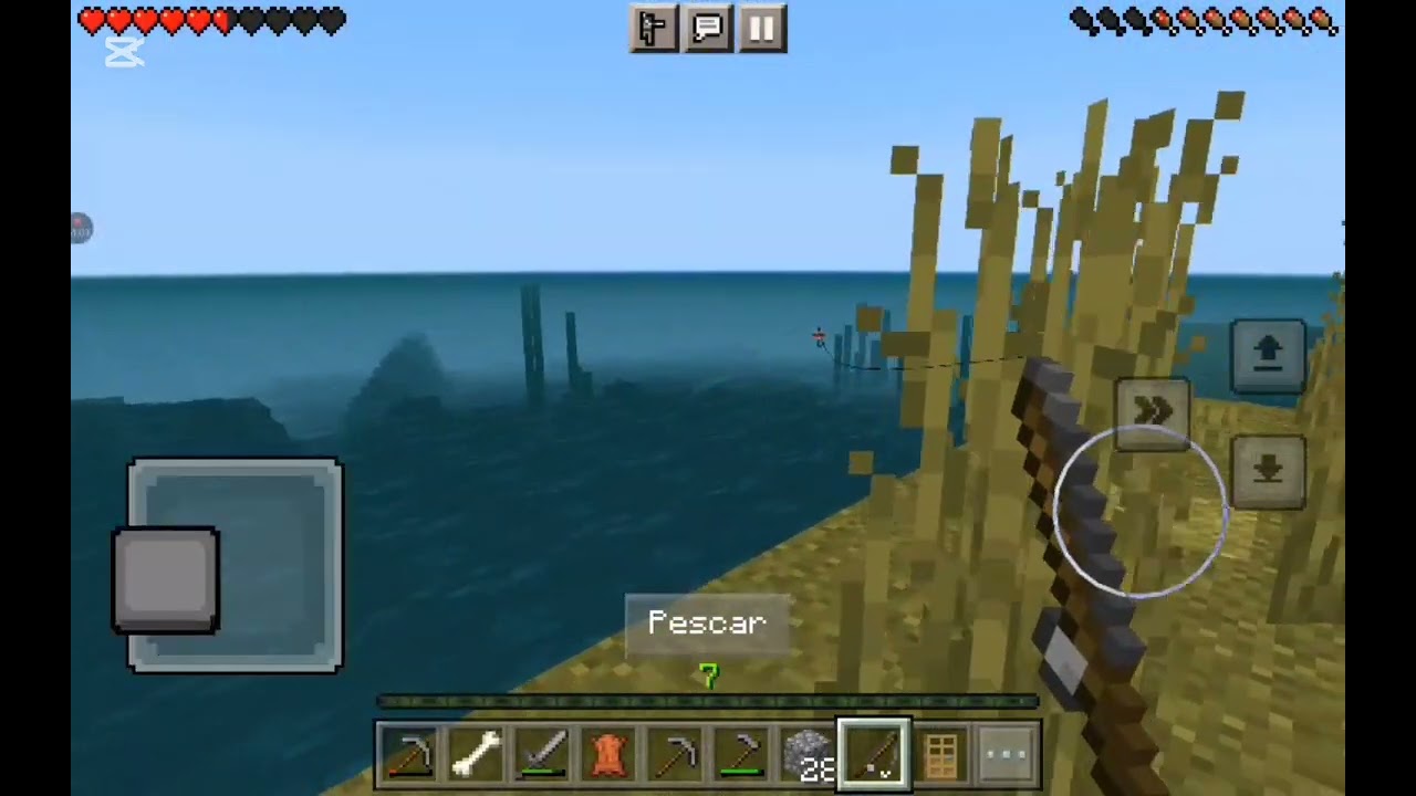 Minecraft 